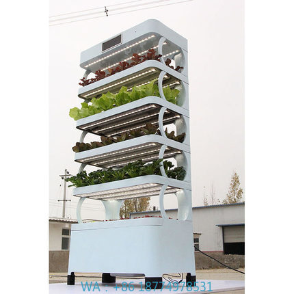 Smart Garden In Home - arming Home Sistemi di coltivazione idroponica