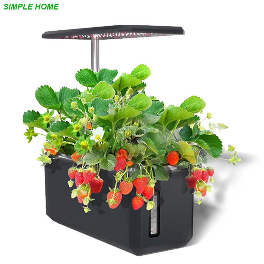 Smart Garden Nursery - Sistema di coltivazione idroponica con pianta