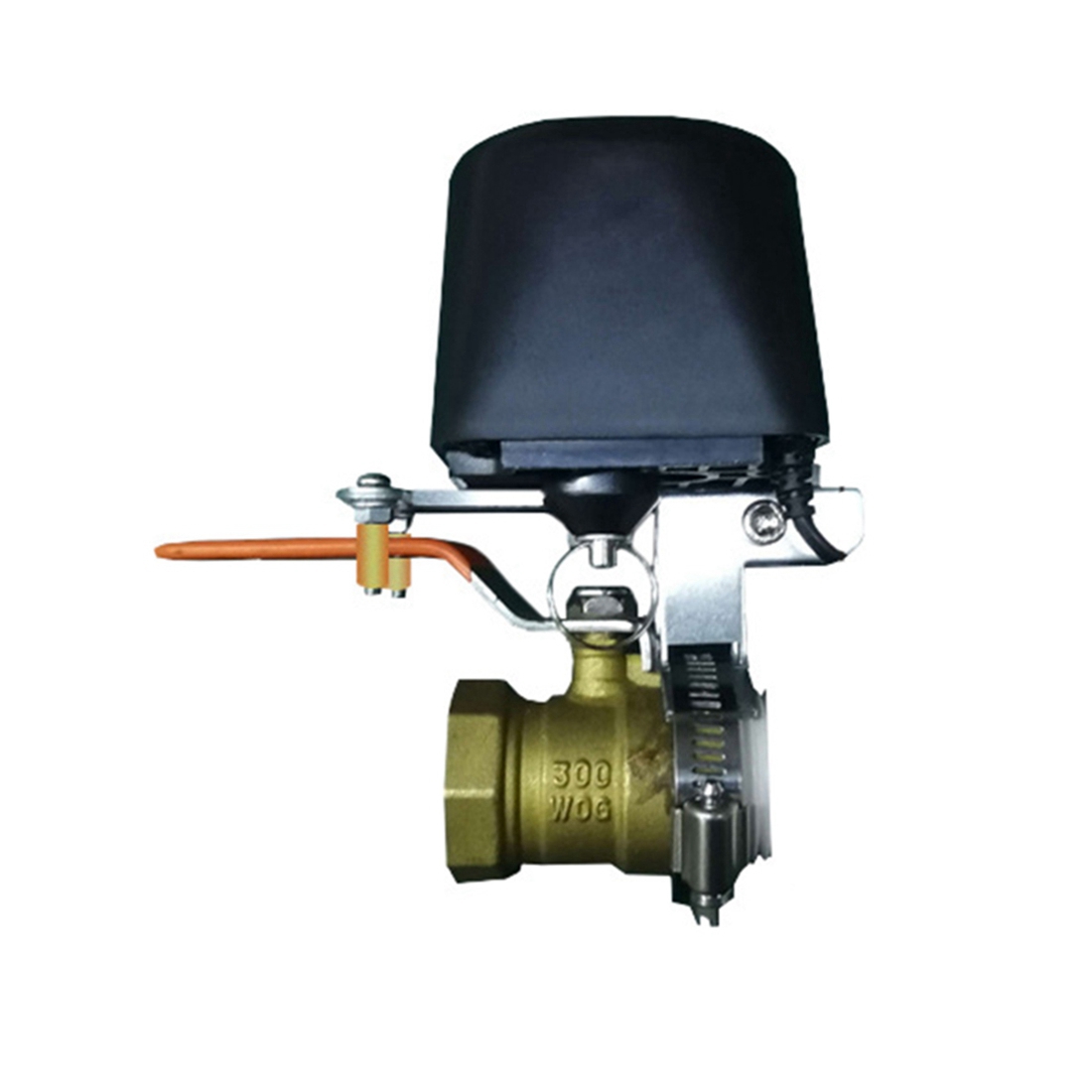 Smart Garden Water - (A02R) Valvola Intelligente Tuya WiFi per