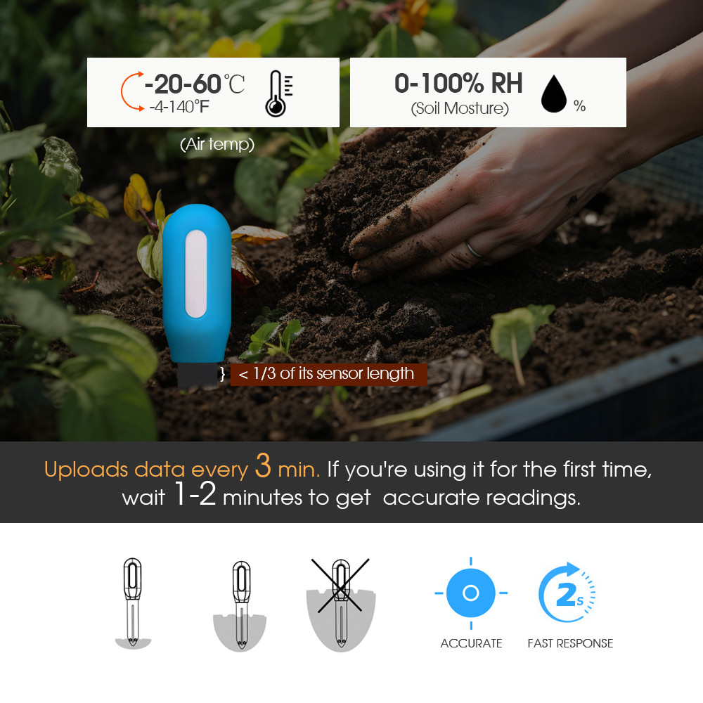 Sensore intelligente del terre - Smart Garden In Home recensione e prezzo