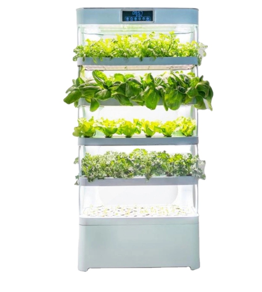 arming Home Sistemi di coltiva - Smart Garden In Home recensione e prezzo