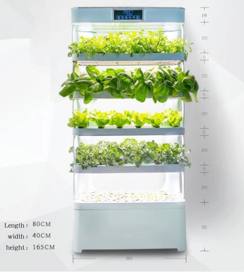 arming Home Sistemi di coltiva - Smart Garden In Home recensione e prezzo