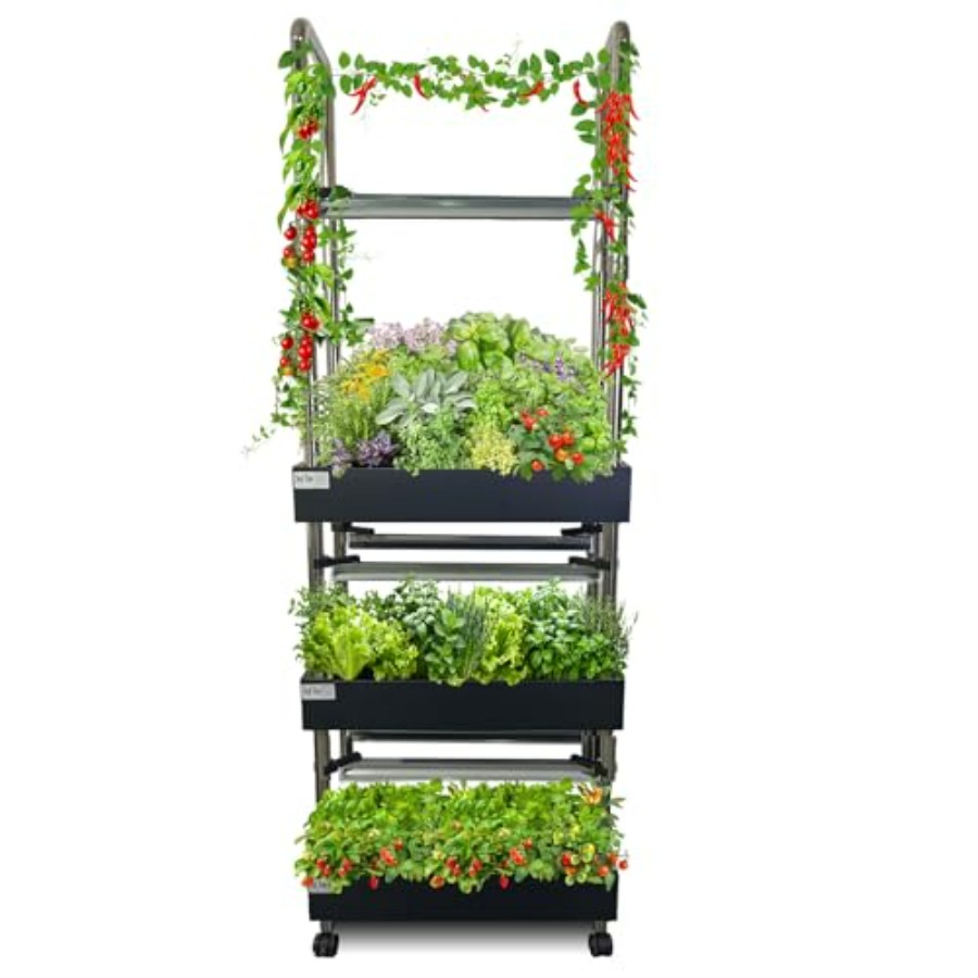 Sistema di coltivazione idropo - Smart Garden Water recensione e prezzo