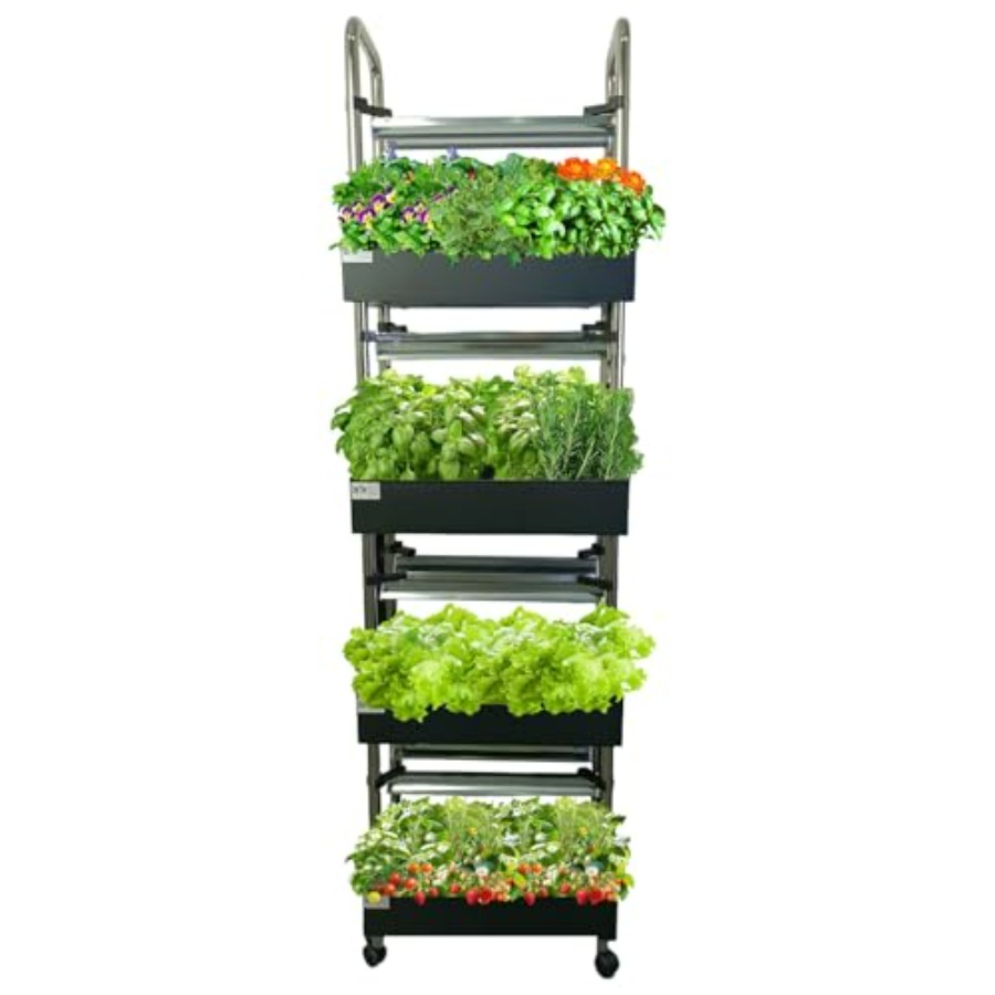 Sistema di coltivazione idropo - Smart Garden Water recensione e prezzo